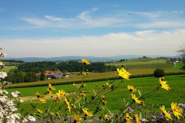 Ferienwohnung Im Bayerischen Wald Tittling Εξωτερικό φωτογραφία